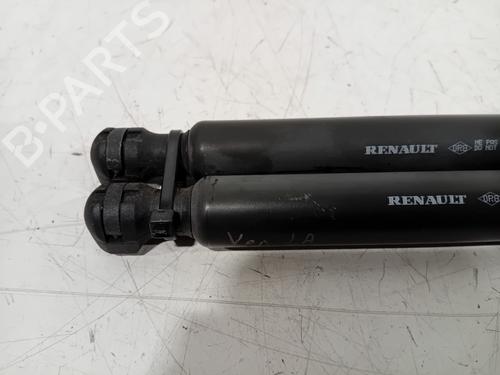 Tailgate lift support DACIA SANDERO II TCe 90 (B8M1, B8MA, B8AC) | BP22387788C138 