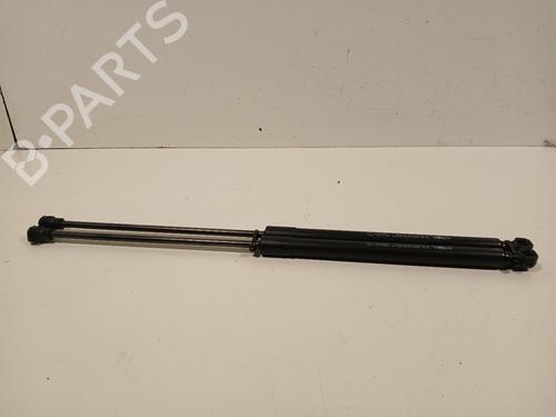 Tailgate lift support DS DS 3 / DS 3 CROSSBACK (UR_, UC_, UJ_) 1.2 PureTech 130 (URHNSS) | BP29918413C138 