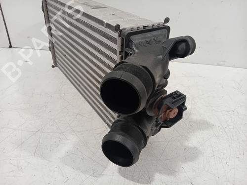 Intercooler DS DS 3 / DS 3 CROSSBACK (UR_, UC_, UJ_) 1.2 PureTech 130 (URHNSS) | BP38467940M30 - Image 3