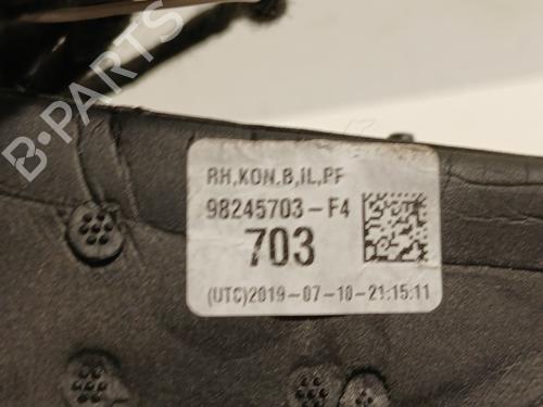 Right mirror DS DS 3 / DS 3 CROSSBACK (UR_, UC_, UJ_) 1.2 PureTech 130 (URHNSS) | BP29918387C27