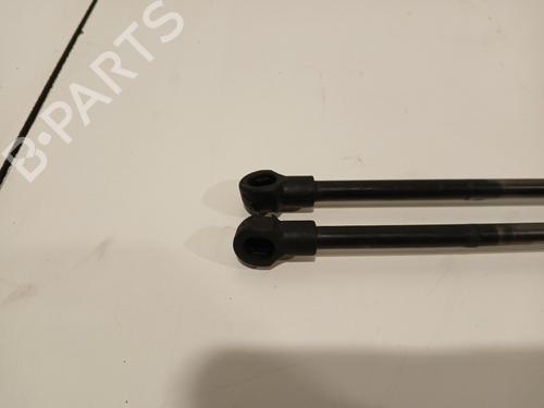 Tailgate lift support PEUGEOT 3008 II SUV (MC_, MR_, MJ_, M4_) 1.5 BlueHDi 130 | BP29541132C138 