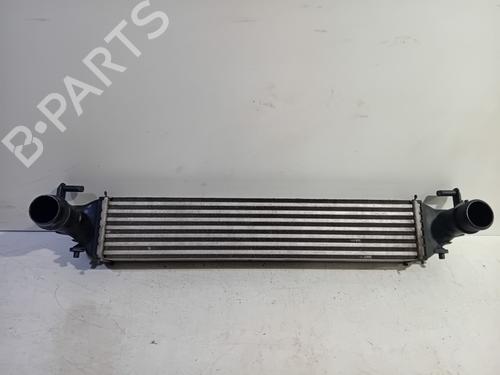 Used Intercooler FIAT 500X (334_) 1.4 (334AXC1B, 334AXC11) (140 hp) 22789956