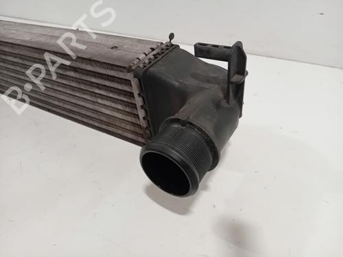 Intercooler FIAT 500X (334_) 1.4 (334AXC1B, 334AXC11) | BP26725493M30 