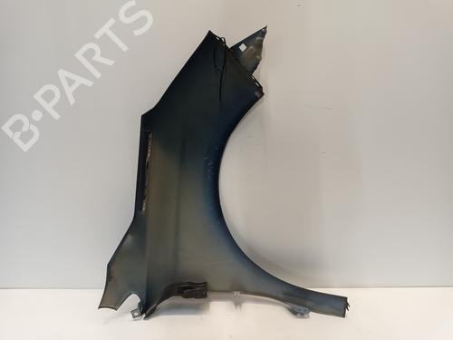 Left front fenders CITROËN C4 II (NC_) 1.6 VTi 120 (NC5FS0, NC5FS9) | BP29563645C41 