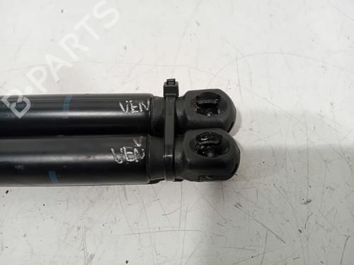 Hood lift support BMW 1 (F20) 116 i | BP18266548C139 
