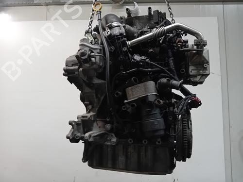 Motor VW TRANSPORTER T6 Van (SGA, SGH, SHA, SHH) 2.0 TDI | BP29563665M1 