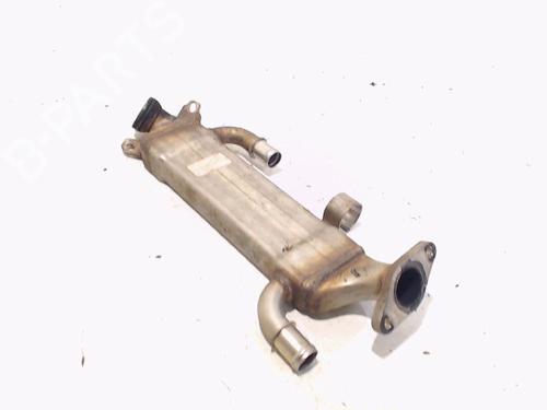 Egr MERCEDES-BENZ M-CLASS (W163) ML 270 CDI (163.113) | BP943117M69 