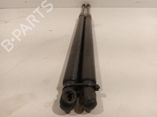 Tailgate lift support LAND ROVER RANGE ROVER SPORT I (L320) 2.7 D 4x4 | BP27544242C138 