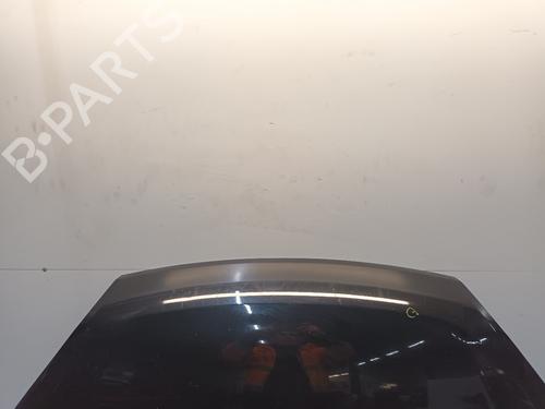 Hood FIAT DOBLO Cargo (263_) 1.3 D Multijet | BP21079825C1 