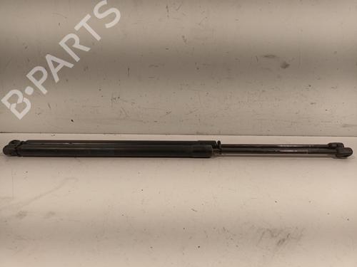 Tailgate lift support LAND ROVER RANGE ROVER SPORT I (L320) 2.7 D 4x4 | BP27544242C138 