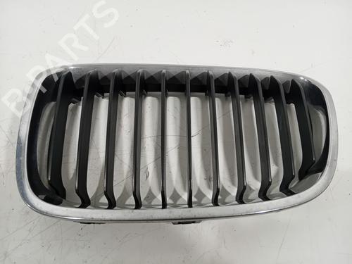 grille-bmw-1-f20-2011-2012-2013-2014-2015-2016-2017-2018-2019-32232373 main image