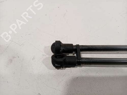 Hood lift support RENAULT SCÉNIC IV (J9_) 1.5 dCi 110 | BP25834962C139 