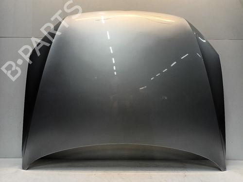 Used Hood VW PASSAT B7 Variant (365) 1.6 TDI (105 hp) 30499161
