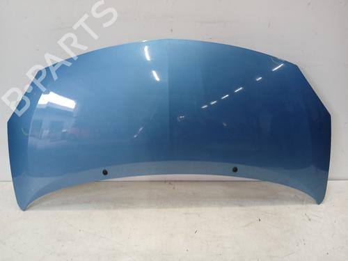 Used Hood Hood RENAULT TWINGO II (CN0_) 1.5 dCi 90 (86 hp) 36410691 36410691
