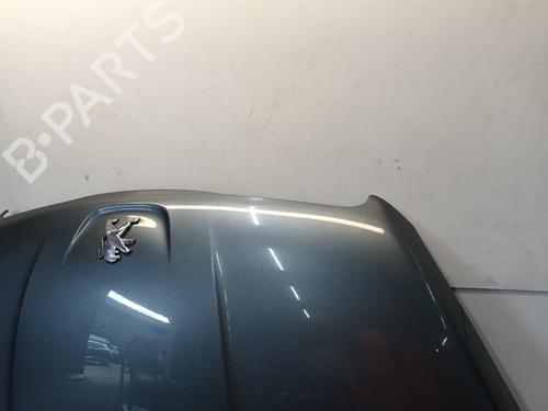 Hood PEUGEOT 508 SW I (8E_) 1.6 VTi | BP26883987C1