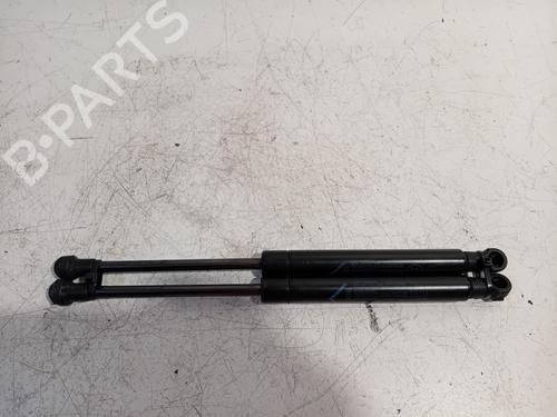 tailgate-lift-support-fiat-500-c-312_-2009-24957124 main image