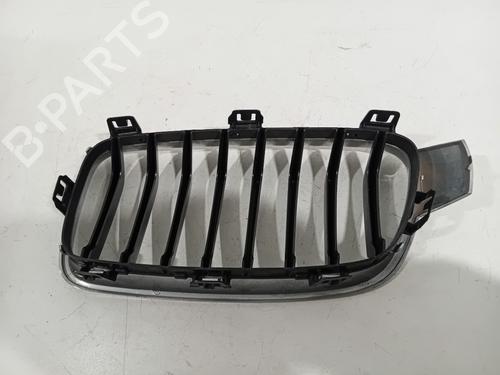 Grille BMW 3 Touring (F31) 320 i | BP26725556C40 