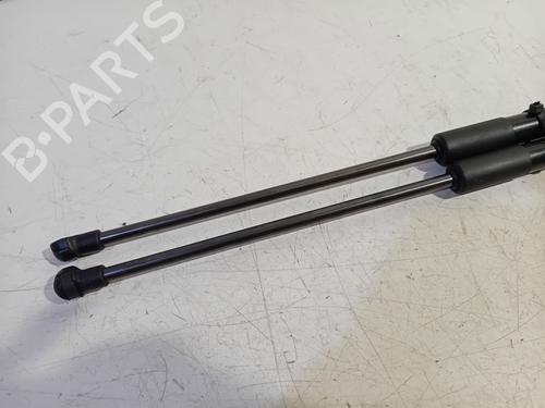 Tailgate lift support NISSAN QASHQAI / QASHQAI +2 I (J10, NJ10, JJ10E) 1.5 dCi | BP19078123C138 
