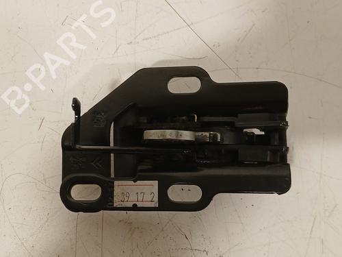 Hinge/Door check strap CITROËN JUMPY III Van (V_) 1.6 BlueHDi 95 | BP25009721C146 - Image 2