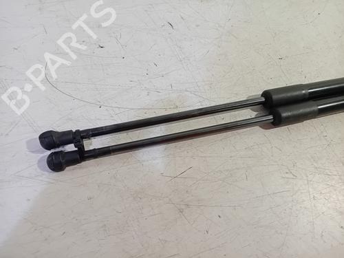 Tailgate lift support BMW 1 (F20) 114 i | BP19404064C138 