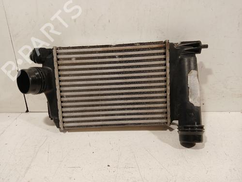 Intercooler RENAULT SCÉNIC IV (J9_) 1.2 TCe 130 (130 hp) 29028572