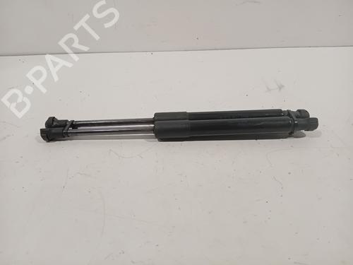 Hood lift support RENAULT SCÉNIC IV (J9_) 1.5 dCi 110 | BP25834962C139 