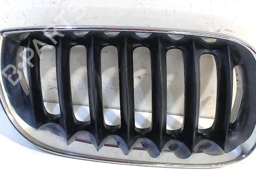 Used Grille Grille 13203934 13203934