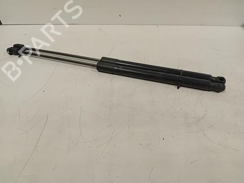 Used Tailgate lift support FORD B-MAX (JK) 1.6 Ti (105 hp) 24200478