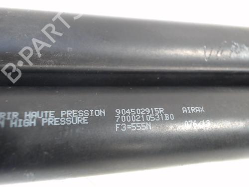Tailgate lift support RENAULT ZOE (BFM_) ZOE | BP13207557C138 