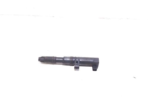 Used Ignition coil RENAULT CLIO III (BR0/1, CR0/1) 1.4 16V (98 hp) 1174619