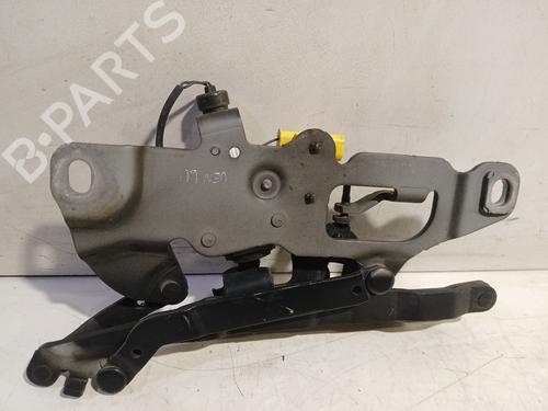 Hinge/Door check strap BMW 5 Touring (F11) 525 d xDrive | BP31297690C146