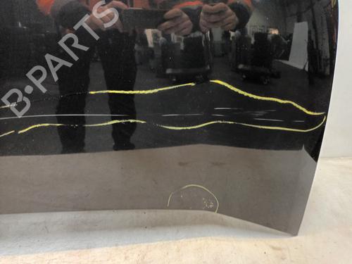 Hood FIAT DOBLO Cargo (263_) 1.3 D Multijet | BP21079825C1 