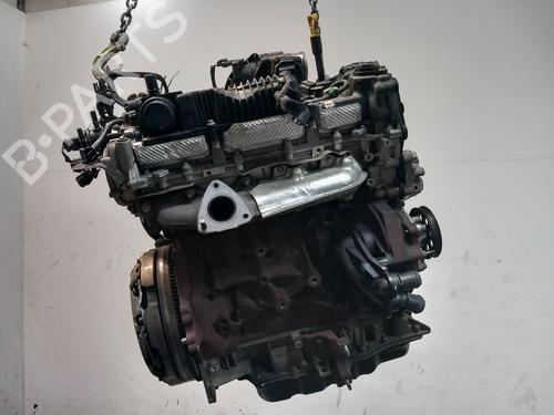 Engine FORD TRANSIT CUSTOM V362 Van (FY, FZ) 2.0 EcoBlue | BP36388361M1 - Image 4