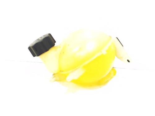 Used Expansion tank CITROËN C4 I (LC_) 2.0 HDi (136 hp) 13196053