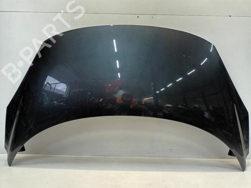 Used Hood RENAULT GRAND SCÉNIC III (JZ0/1_) 1.4 16V (JZ0F) (131 hp) 29900289