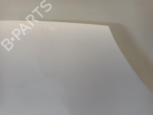 Hood RENAULT KANGOO Express (FW0/1_) 1.5 dCi 75 (FW07, FW10, FW04) | BP24262517C1 
