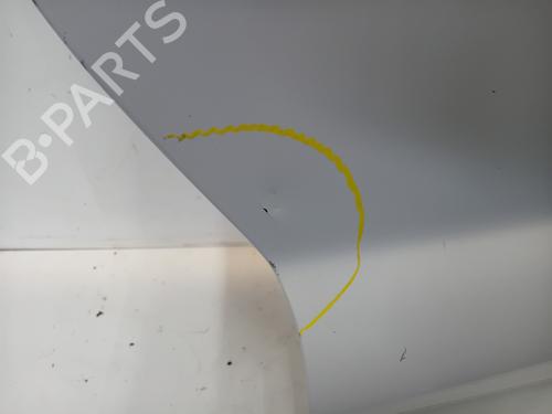 Right front door OPEL VIVARO A Van (X83) 1.9 DI (F7) | BP25547084C3 