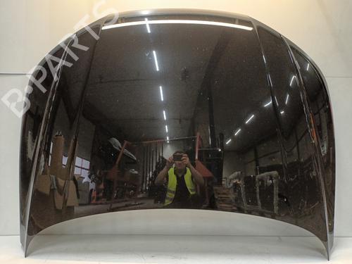 Used Hood Hood AUDI Q5 (FYB, FYG) SQ5 TFSI quattro (354 hp) 33607756 33607756