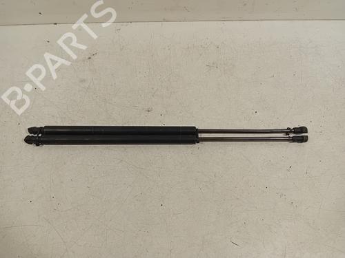 Tailgate lift support LEXUS GS (_S19_) 450h (GRS191_, GWS191_, GRS191R, GWS191R) BP20289054C138