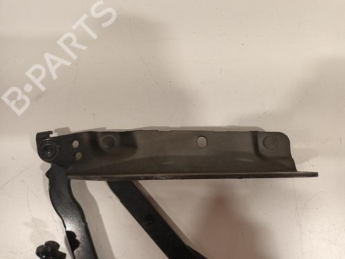 Hinge/Door check strap LAND ROVER RANGE ROVER EVOQUE (L538) 2.2 D 4x4 | BP16773452C146 