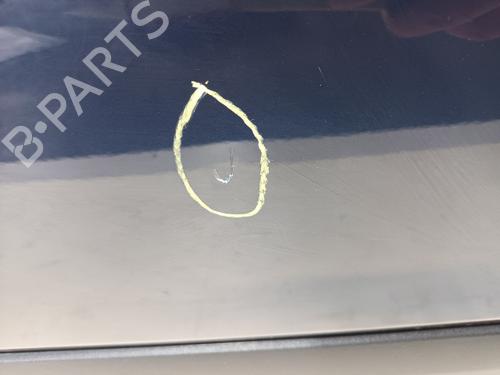 Left front door FIAT PANDA (312_, 319_) 0.9 (312PXG1A) | BP29528325C2 