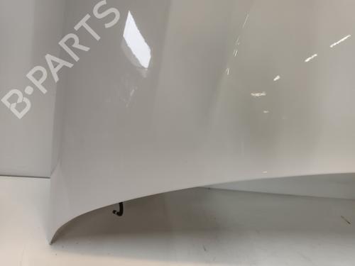 Hood VW TRANSPORTER T5 Van (7HA, 7HH, 7EA, 7EH) 2.0 TDI | BP29878420C1
