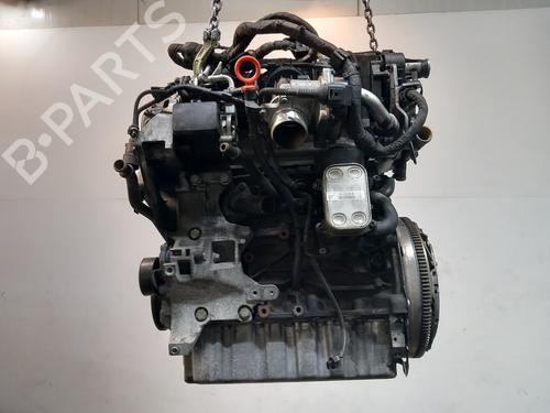 Engine VW GOLF VI (5K1) 1.6 TDI | BP37181216M1 - Image 2
