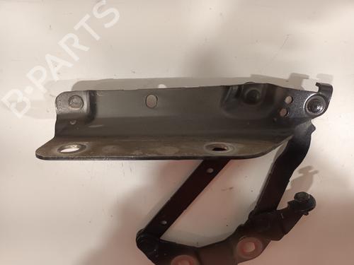 Hinge/Door check strap LAND ROVER RANGE ROVER EVOQUE (L538) 2.2 D 4x4 | BP16773453C146 