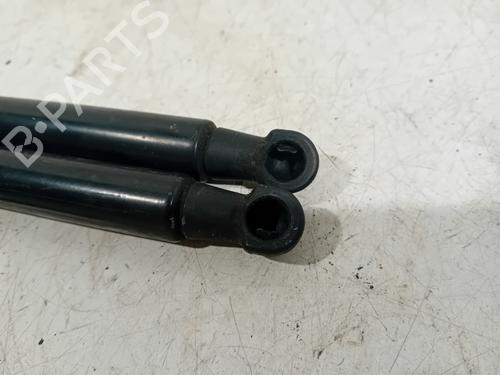 Tailgate lift support BMW 1 (F20) 120 d xDrive | BP18081596C138 