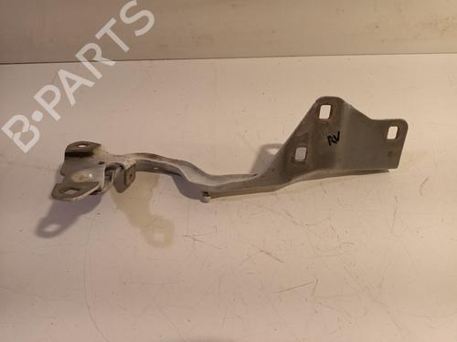Hinge/Door check strap RENAULT SCÉNIC IV (J9_) 1.2 TCe 130 | BP16948894C146 