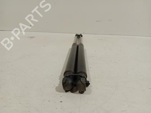 Tailgate lift support FORD KA (RU8) 1.2 | BP21557056C138 