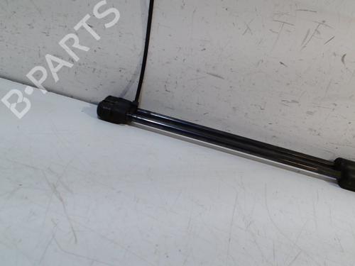 Tailgate lift support FORD FIESTA VI (CB1, CCN) 1.4 TDCi | BP13208245C138 