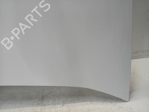 Hood FIAT DOBLO Cargo (263_) 1.3 D Multijet | BP28083633C1 