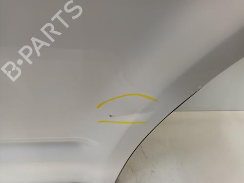 Right front door VW TRANSPORTER T5 Van (7HA, 7HH, 7EA, 7EH) 2.0 TDI | BP29878421C3